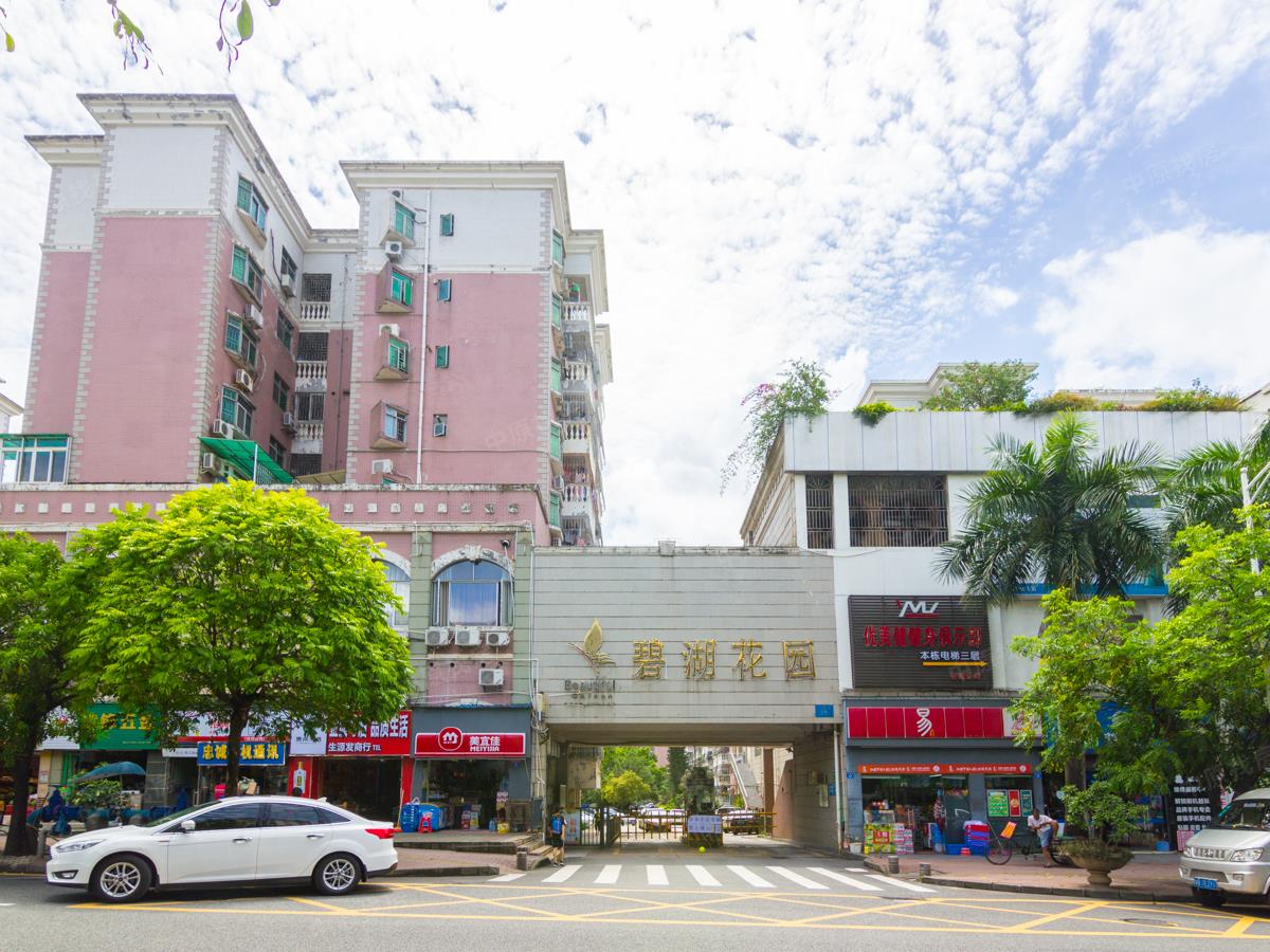 碧湖花园 龙城 满五 业主 看房方便,深圳龙岗龙岗中心城碧湖花园(龙岗