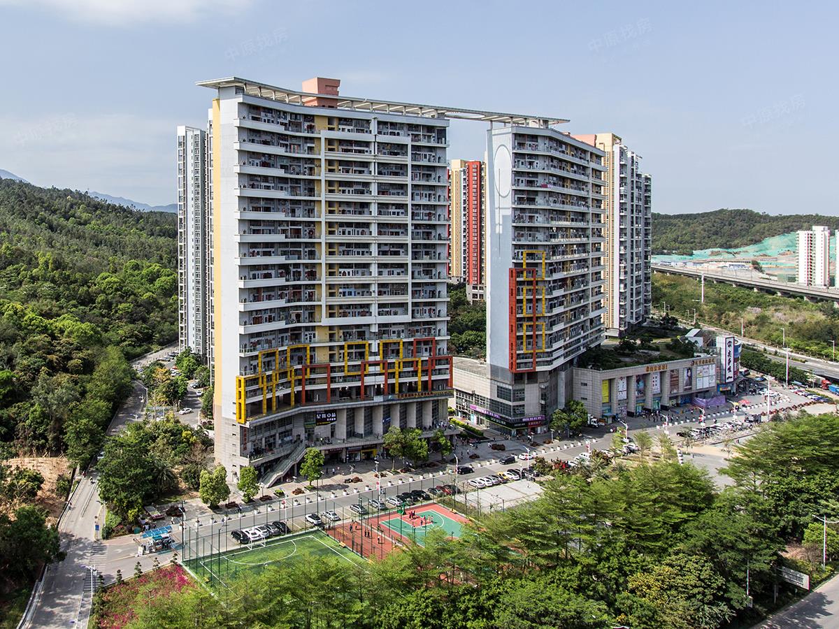 振业峦山谷 精装4房 依靠马峦山 位置安静 空气清新