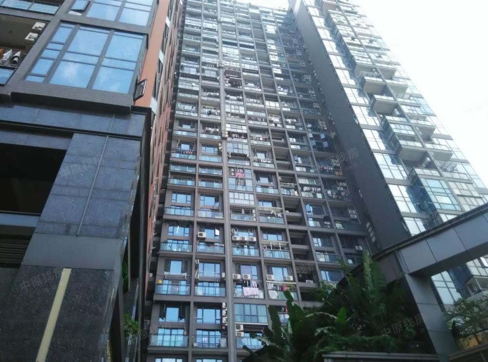 嘉葆润金座精装修 层采光通风好 周边配套齐全