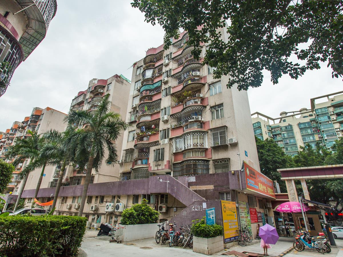 新安湖花园二期 普通住宅 小区图1