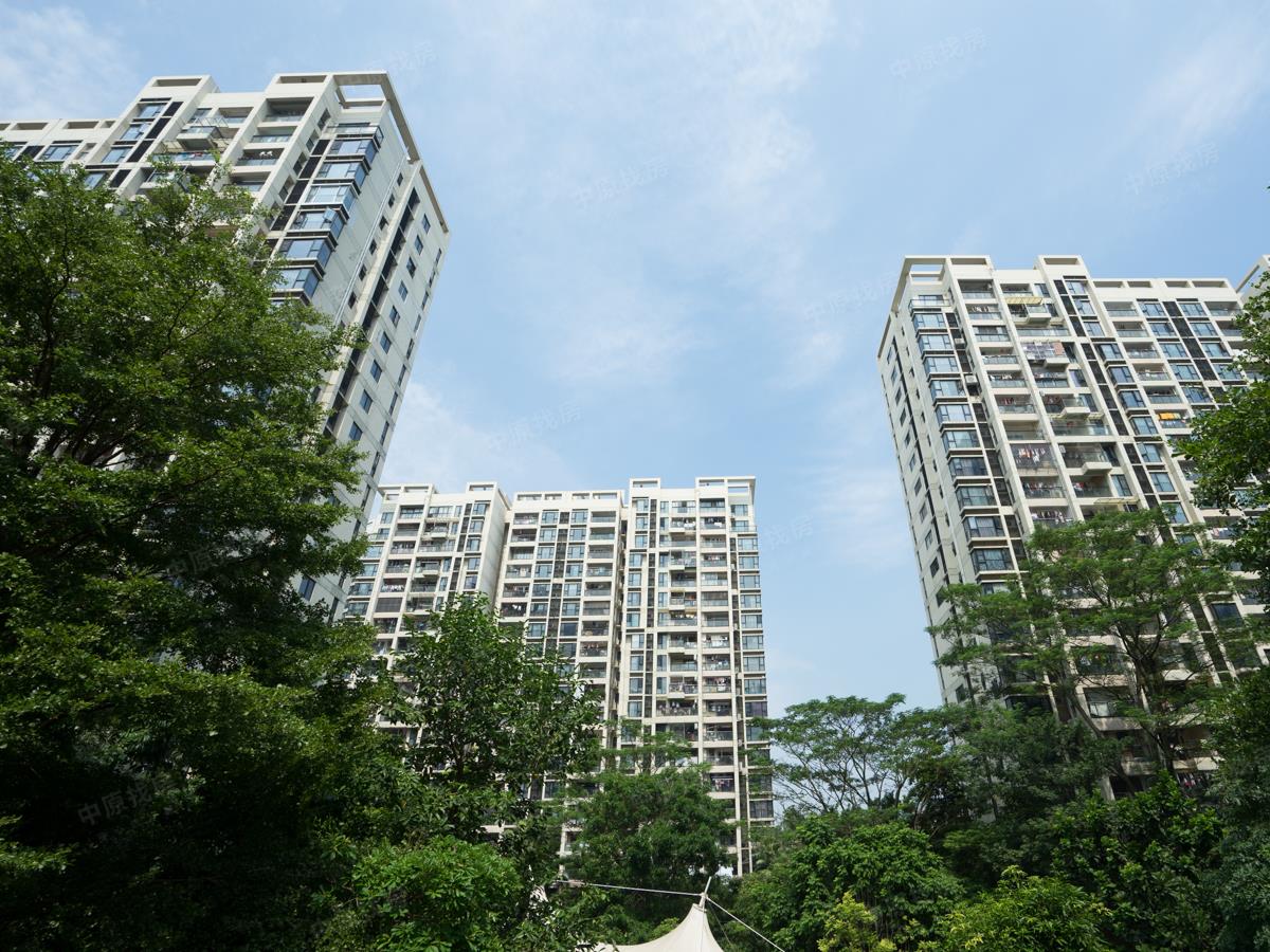 桃源盛景园 普通住宅 小区图1