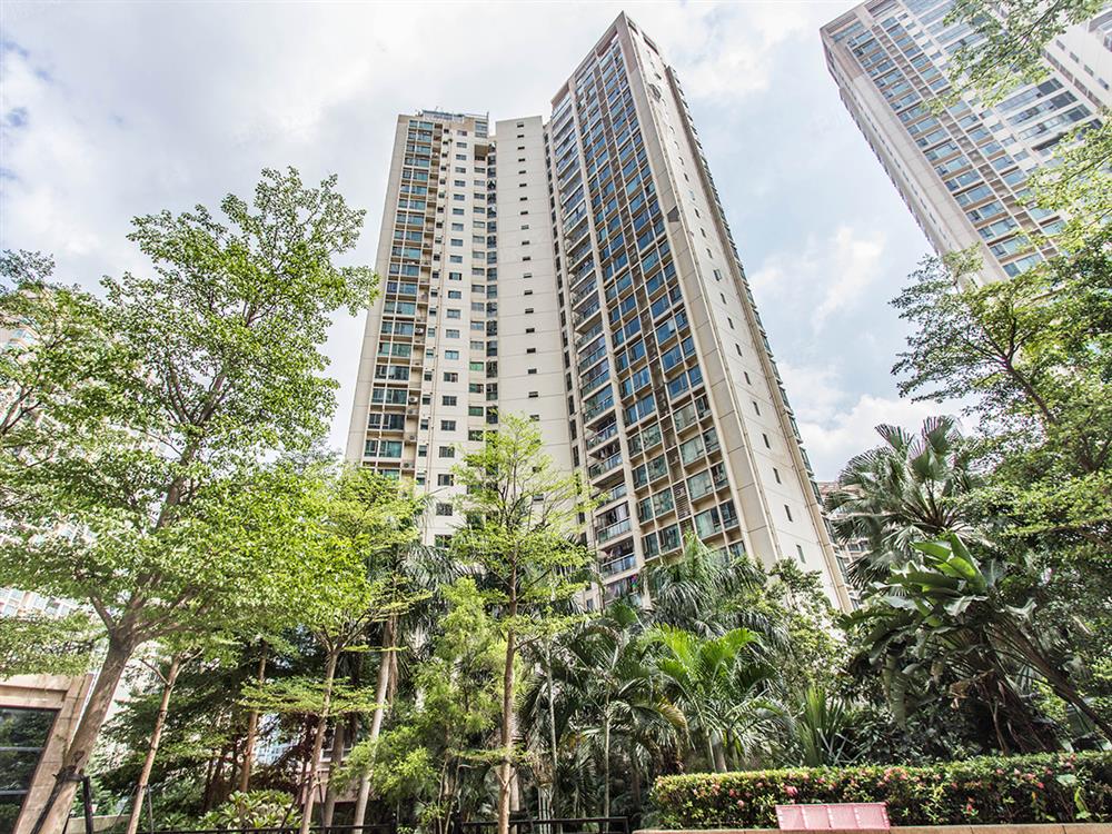 全部二手房 龙岗 布吉 荔山公馆