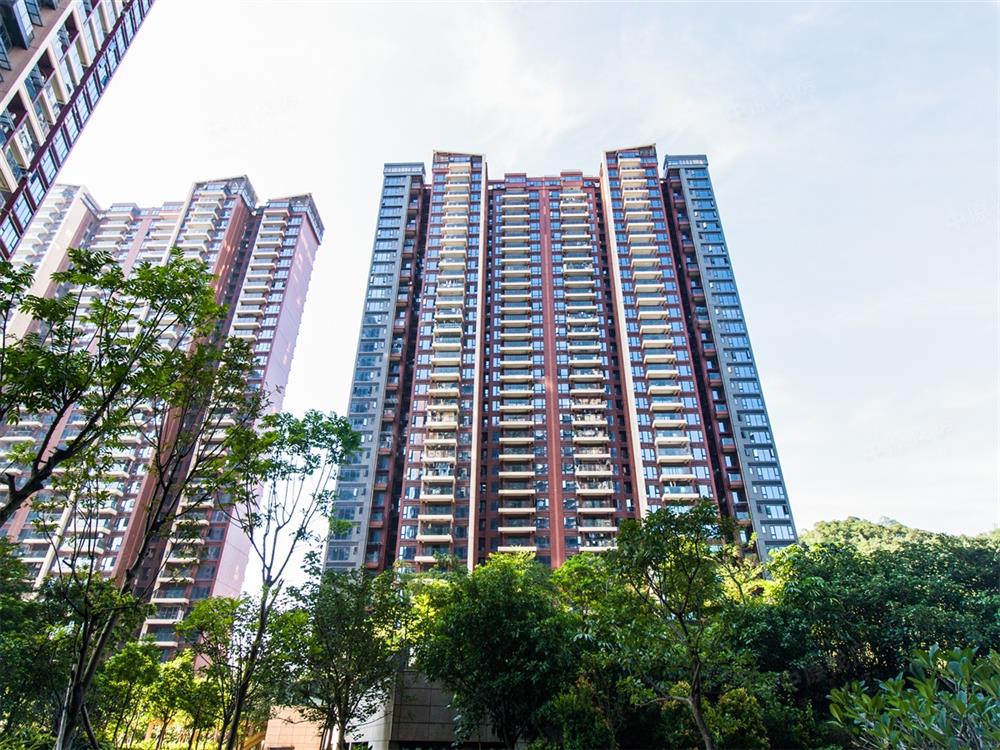 麓园三房 88.85平 320万 满两年深中学位