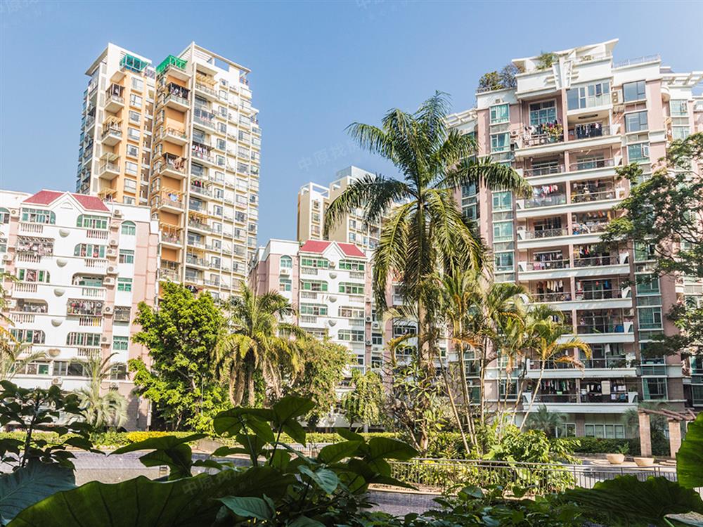 满5年,带学位,业主着急用钱】-桃源居14区二手房-深圳中原地产网